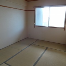 DSC00858